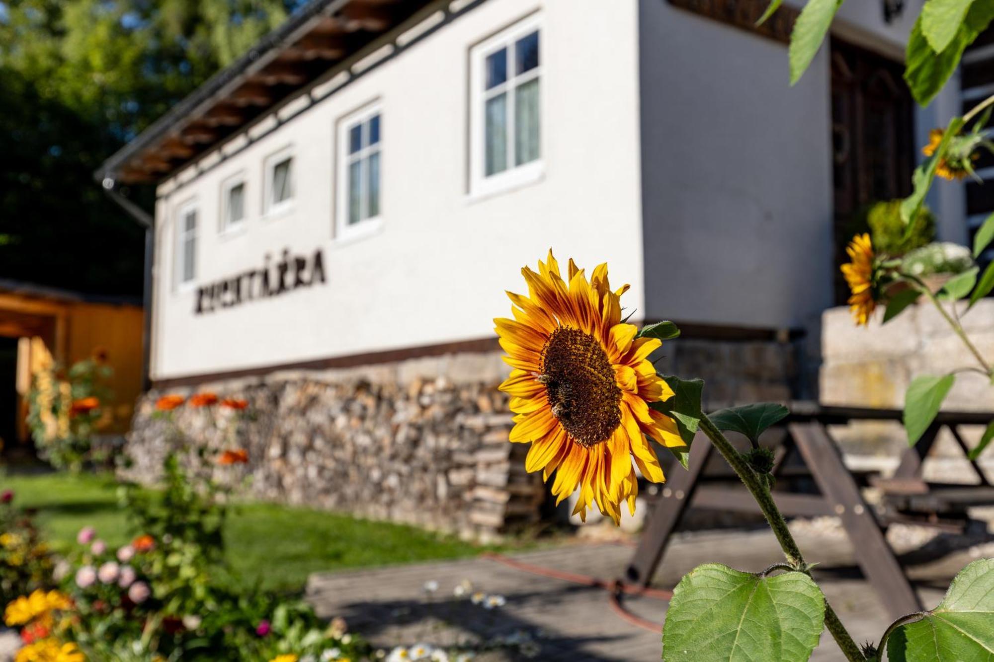 Chata Rychtarka Janov nad Nisou Kültér fotó